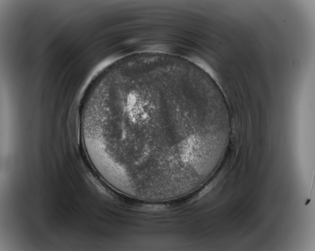 X0000085251123200703301804