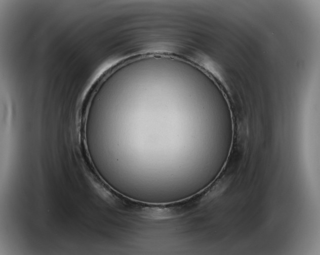 X0000085251124200703301804