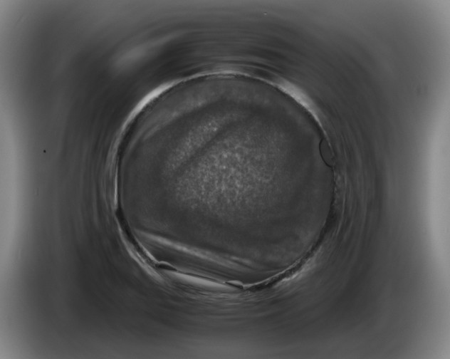 X0000085251127200703301804