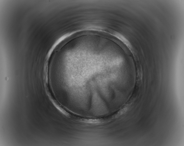 X0000085251128200703301804