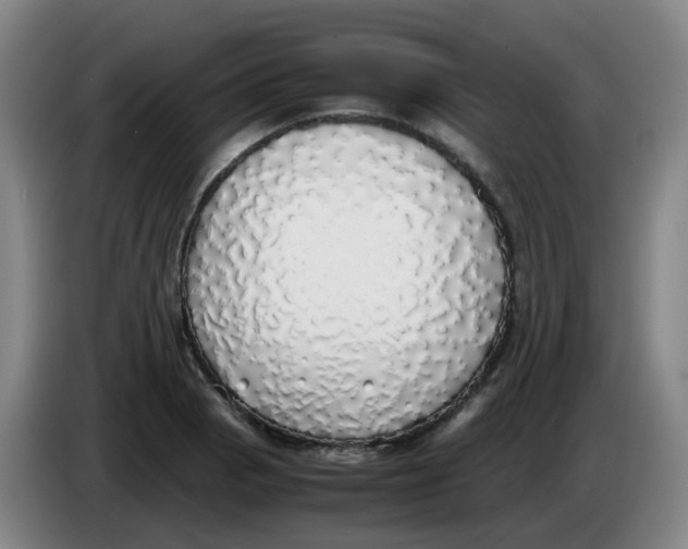 X0000085251129200703301804