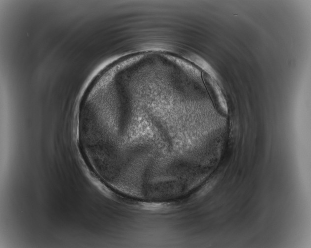 X0000085251132200703301804