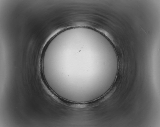 X0000085251134200703301804