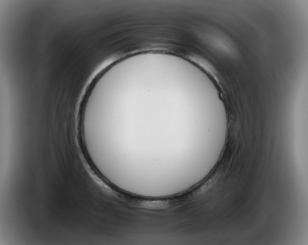 X0000085251135200703301804