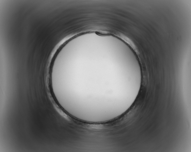 X0000085251136200703301804