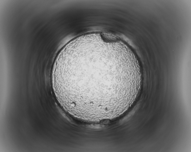 X0000085251137200703301804