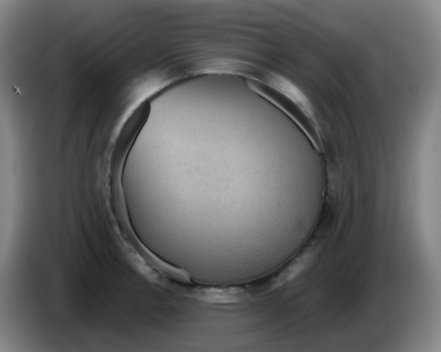 X0000085251138200703301804