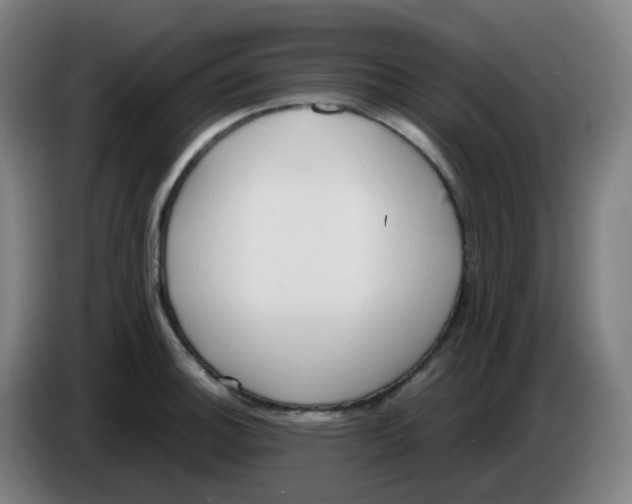 X0000085251140200703301804