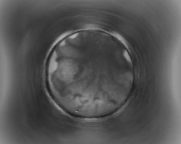 X0000085251142200703301805