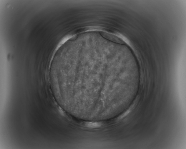 X0000085251145200703301805