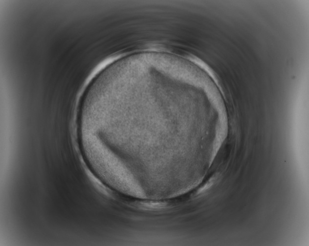 X0000085251147200703301805