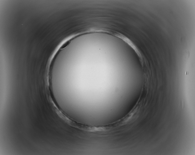 X0000085251148200703301805