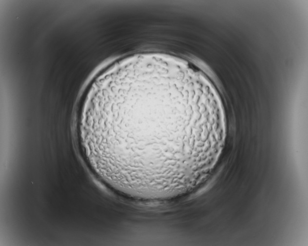 X0000085251149200703301805