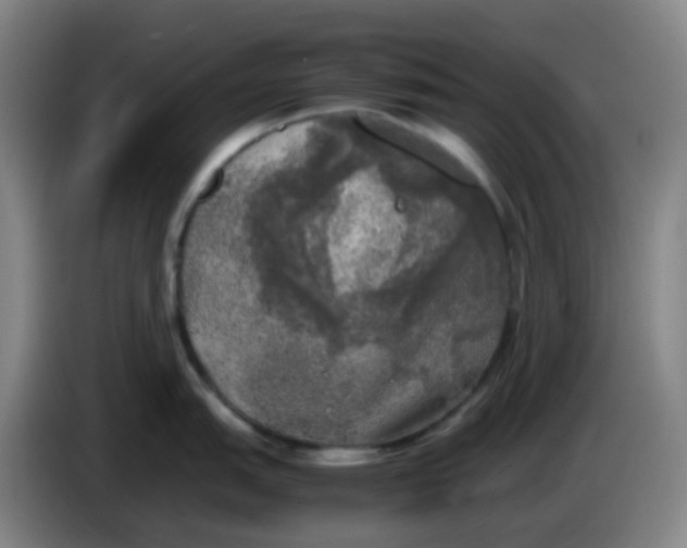 X0000085251151200703301805