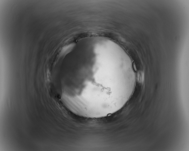 X0000085251155200703301804