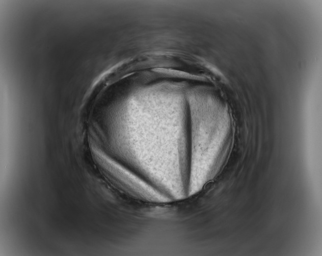 X0000085251160200703301804