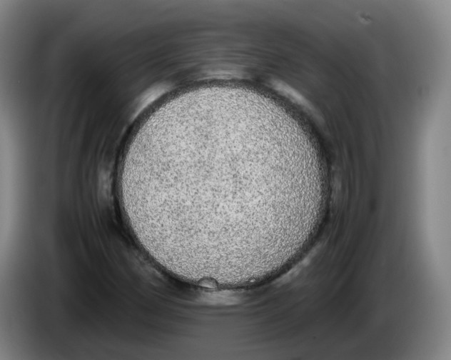 X0000085251162200703301804