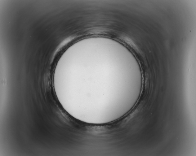 X0000085251164200703301804