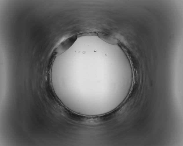 X0000085251165200703301804