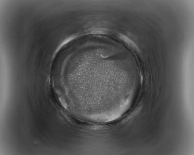 X0000085251166200703301804