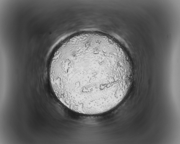 X0000085251167200703301804