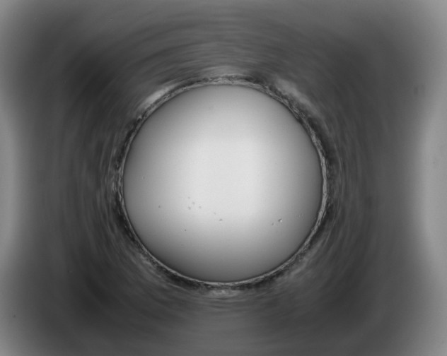 X0000085251169200703301804