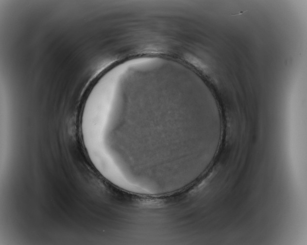 X0000085251170200703301804