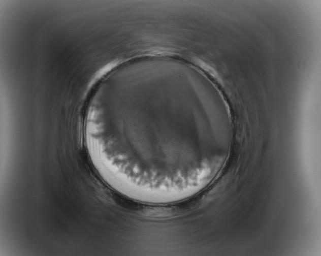 X0000085251171200703301804