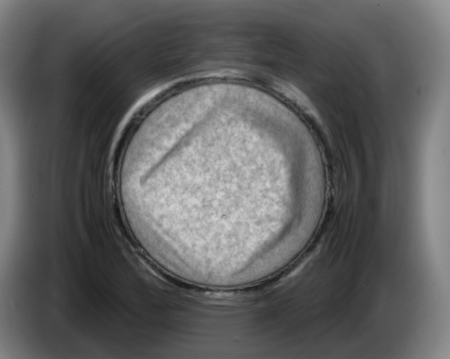 X0000085251172200703301804