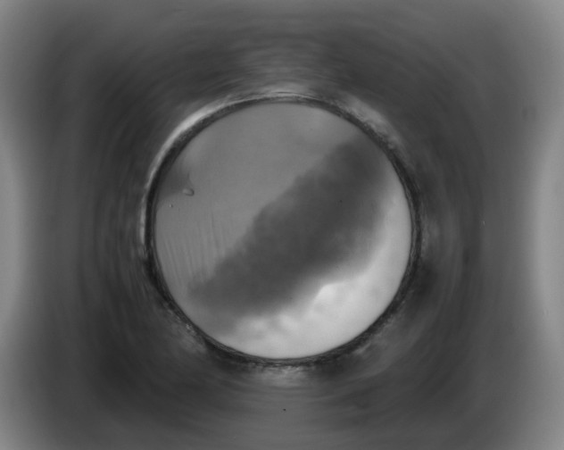 X0000085251174200703301804