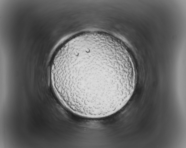 X0000085251175200703301803