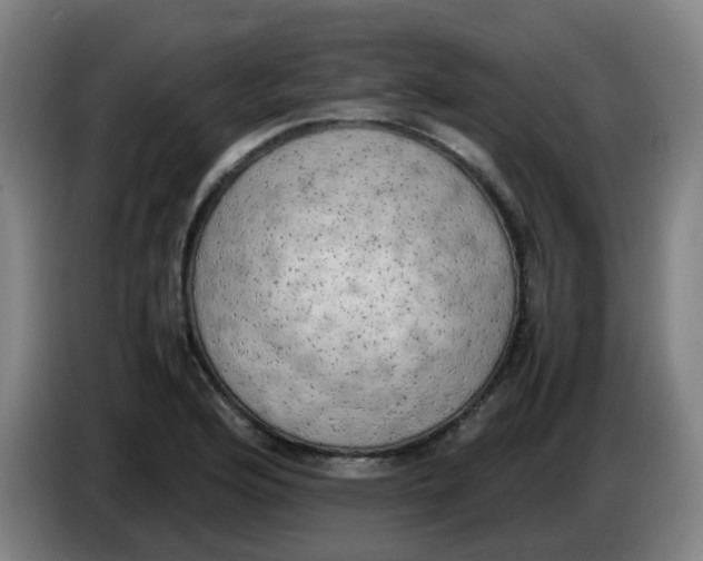 X0000085251176200703301803