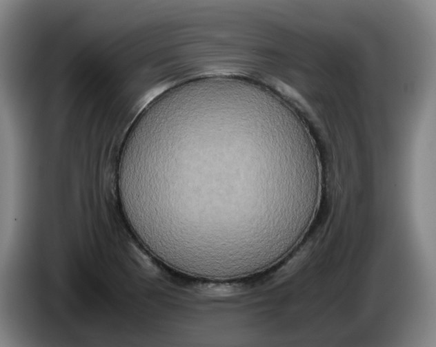 X0000085251177200703301803