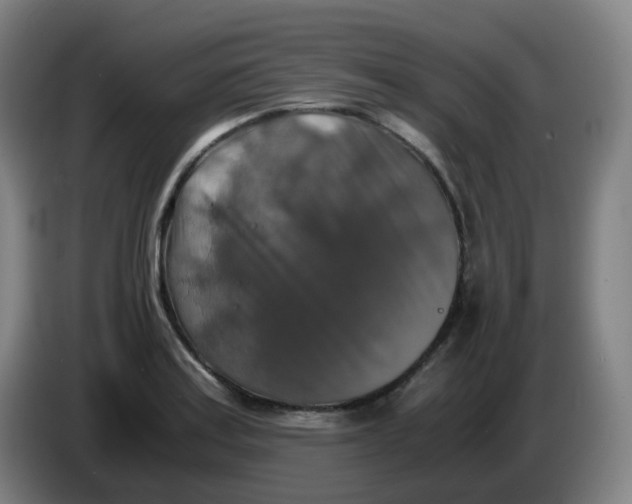 X0000085251179200703301803