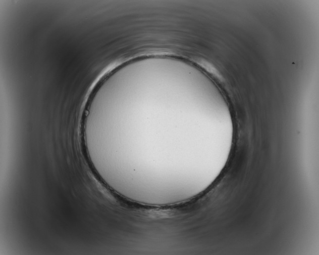 X0000085251181200703301803