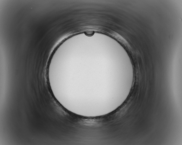 X0000085251182200703301803