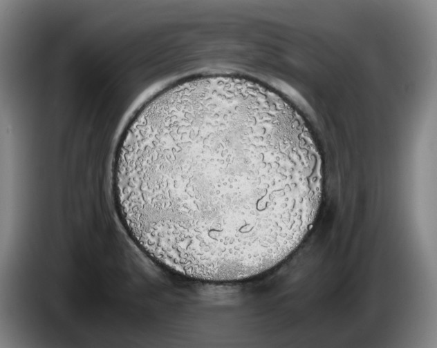 X0000085251183200703301803