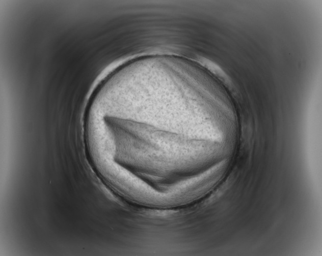 X0000085251184200703301803