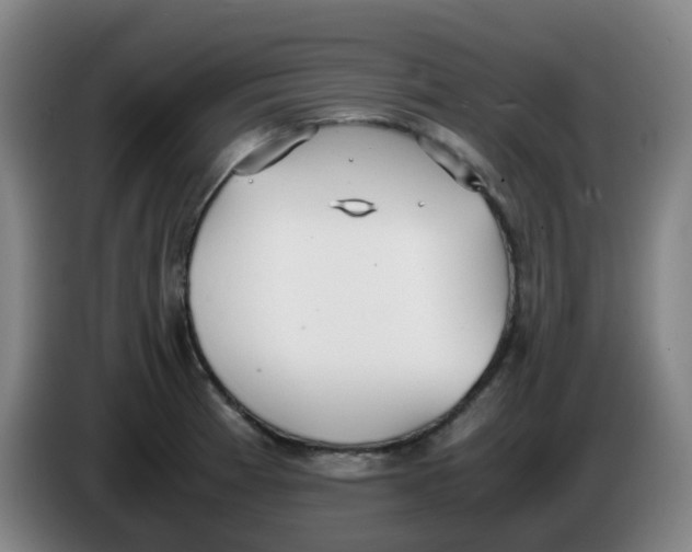 X0000085251185200703301803