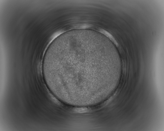 X0000085251186200703301803