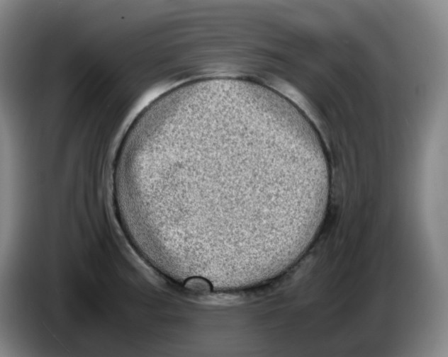 X0000085251187200703301803