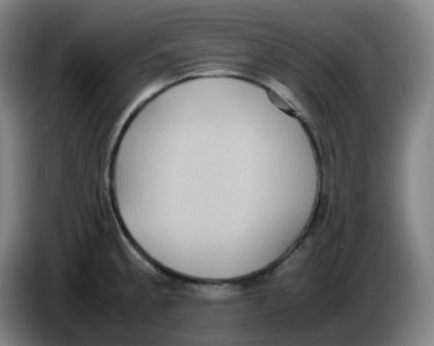 X0000085251189200703301803