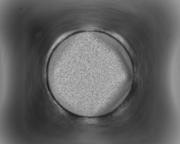 X0000085251191200703301803