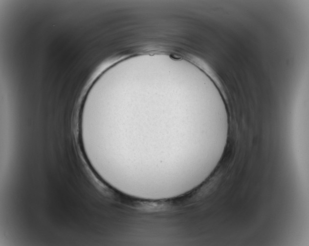 X0000085251195200703301803