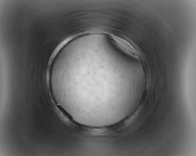 X0000085251196200703301803