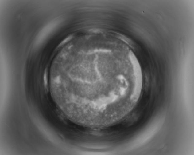 X0000085251198200703301803