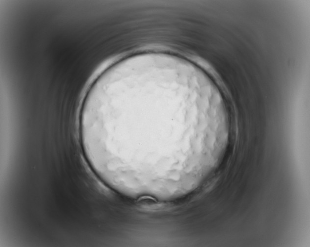 X0000085251199200703301803