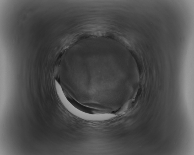 X0000085251202200703301802