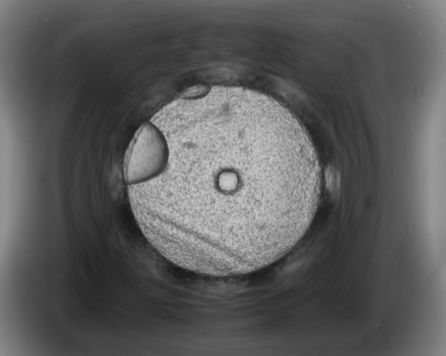 X0000085251203200703301802