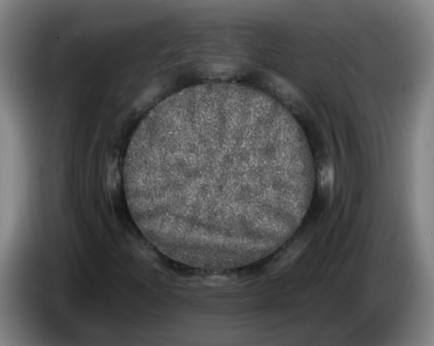 X0000085251204200703301802